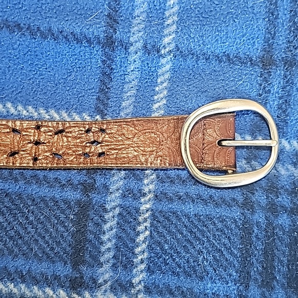 Brown Fossil Belt - Picture 2 of 3